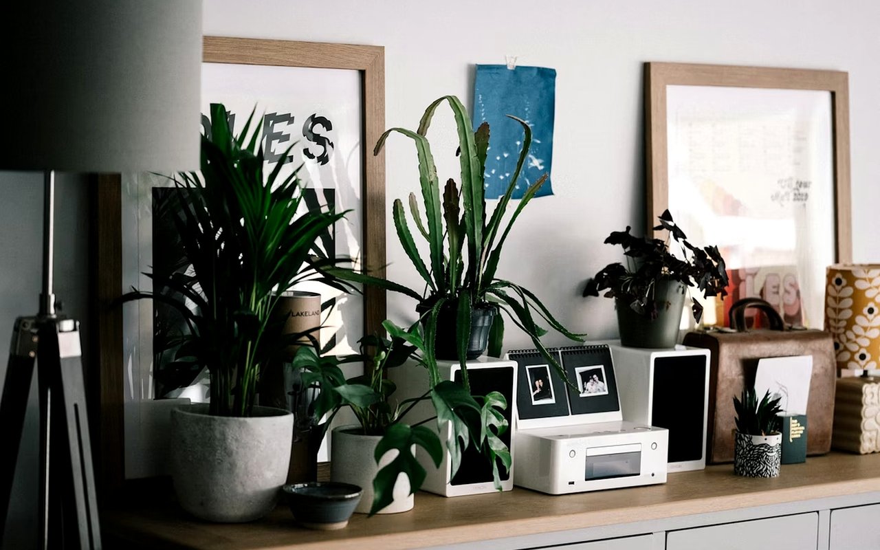 Tips for Making Your Home More Eco-Friendly