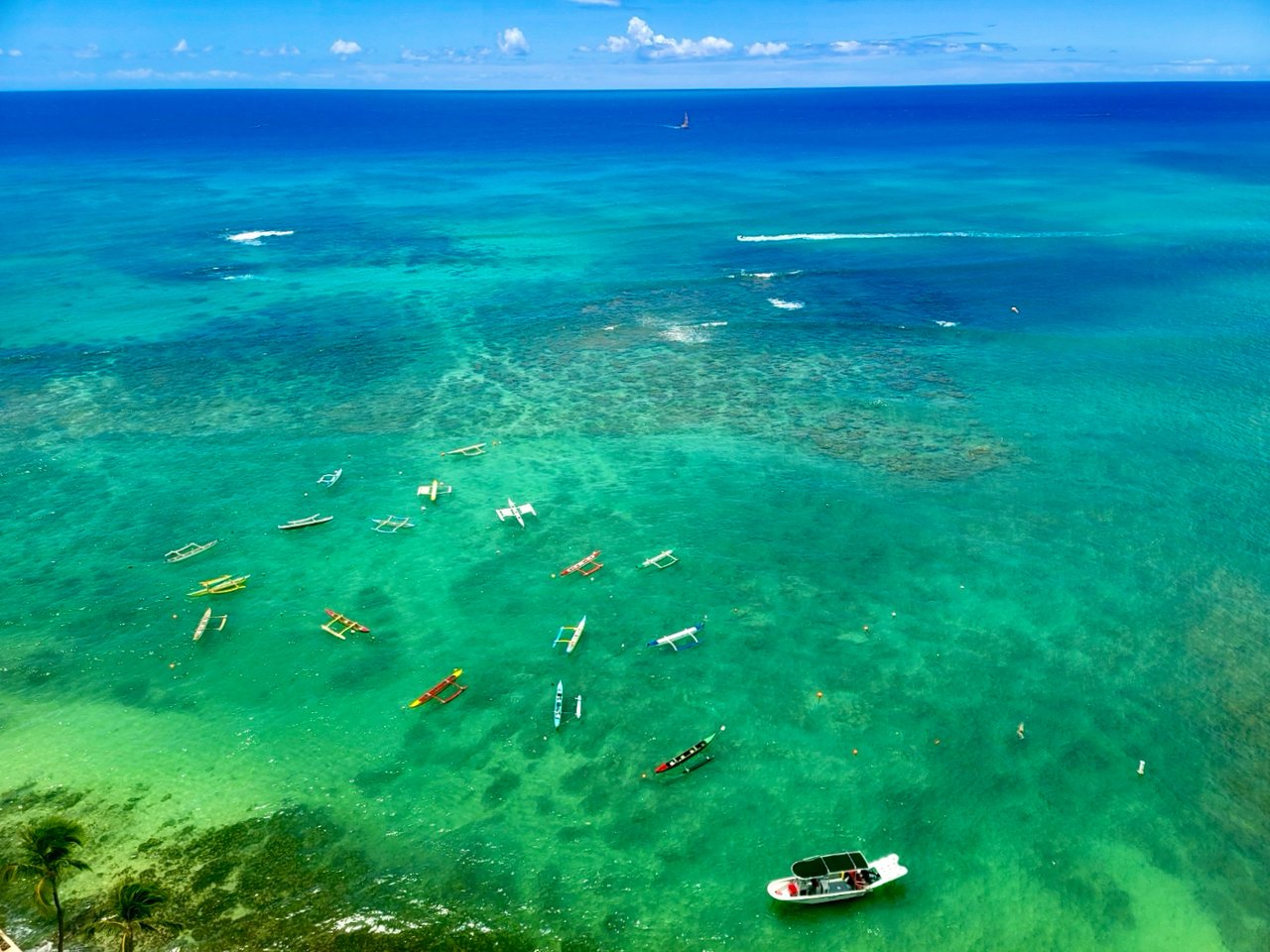 Colony Surf – Gold Coast Honolulu