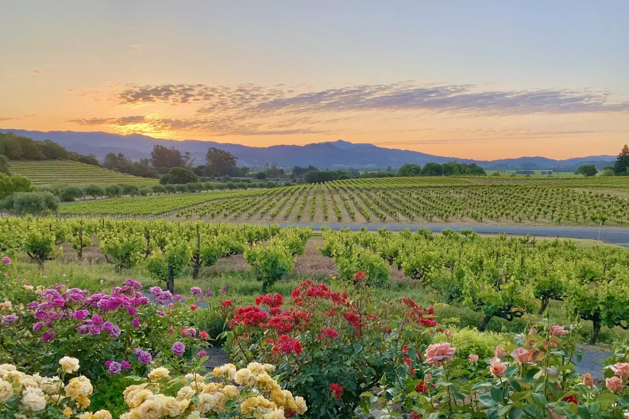 HEALDSBURG