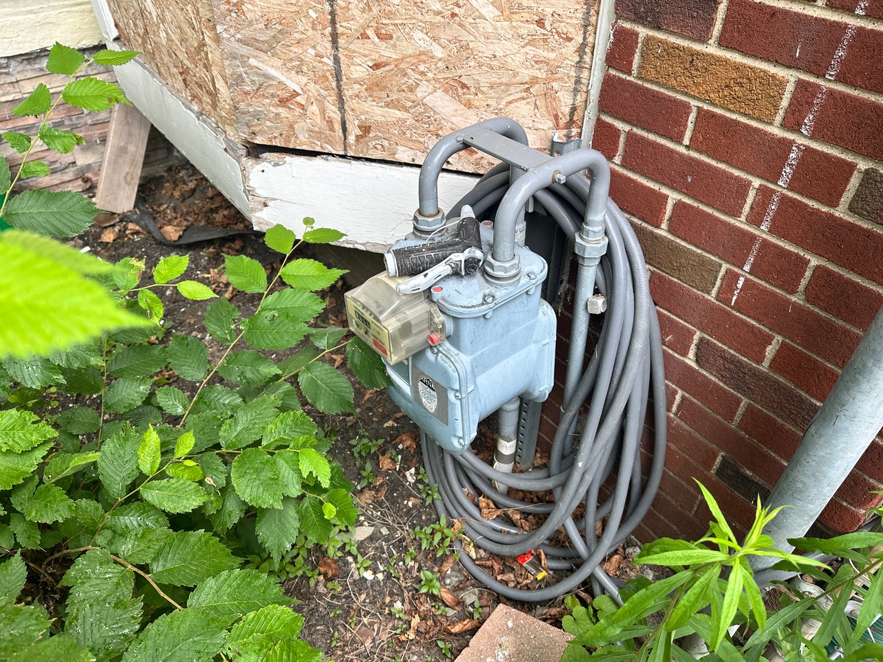 16592 Saint Marys St