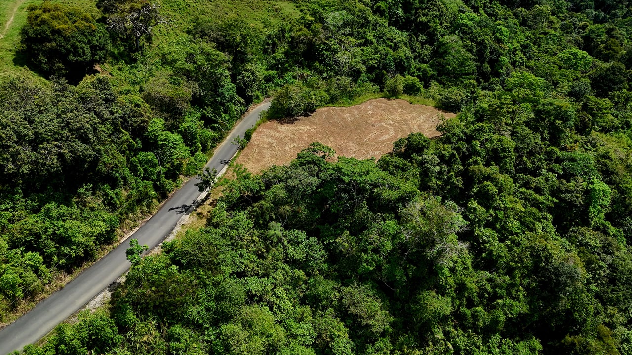  FIRE SALE! Two Adjacent Ocean-View Lots Sold Together – Chontales, Osa (10,487 m² + 9,844 m²)