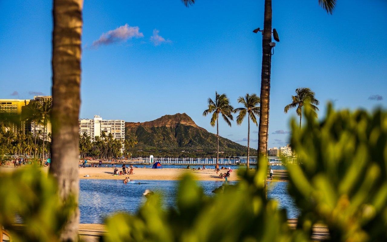 Waikiki Beach and its palm-lined shore, with Diamond Head in the distance.