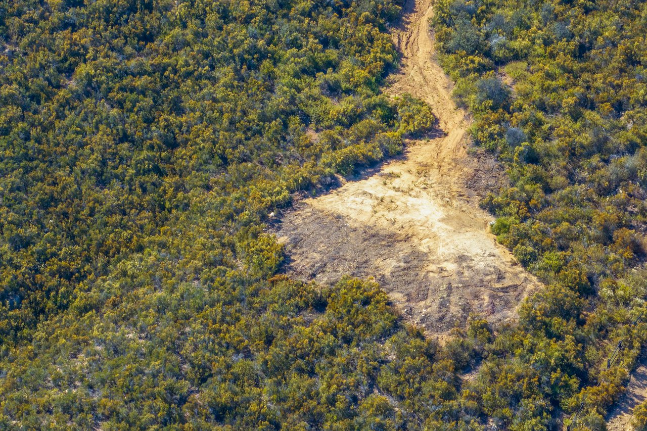 6 Vista del Bosque
