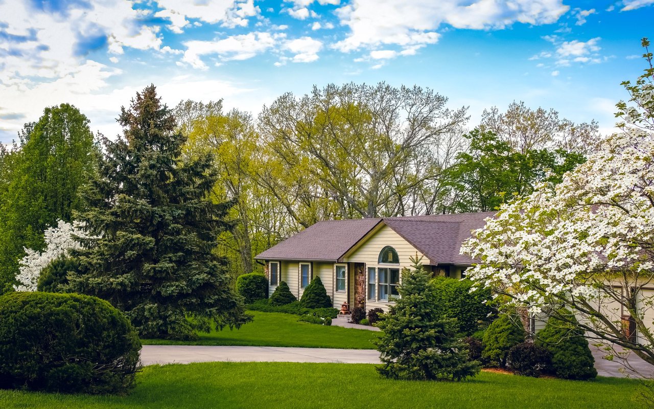 contact-form-background