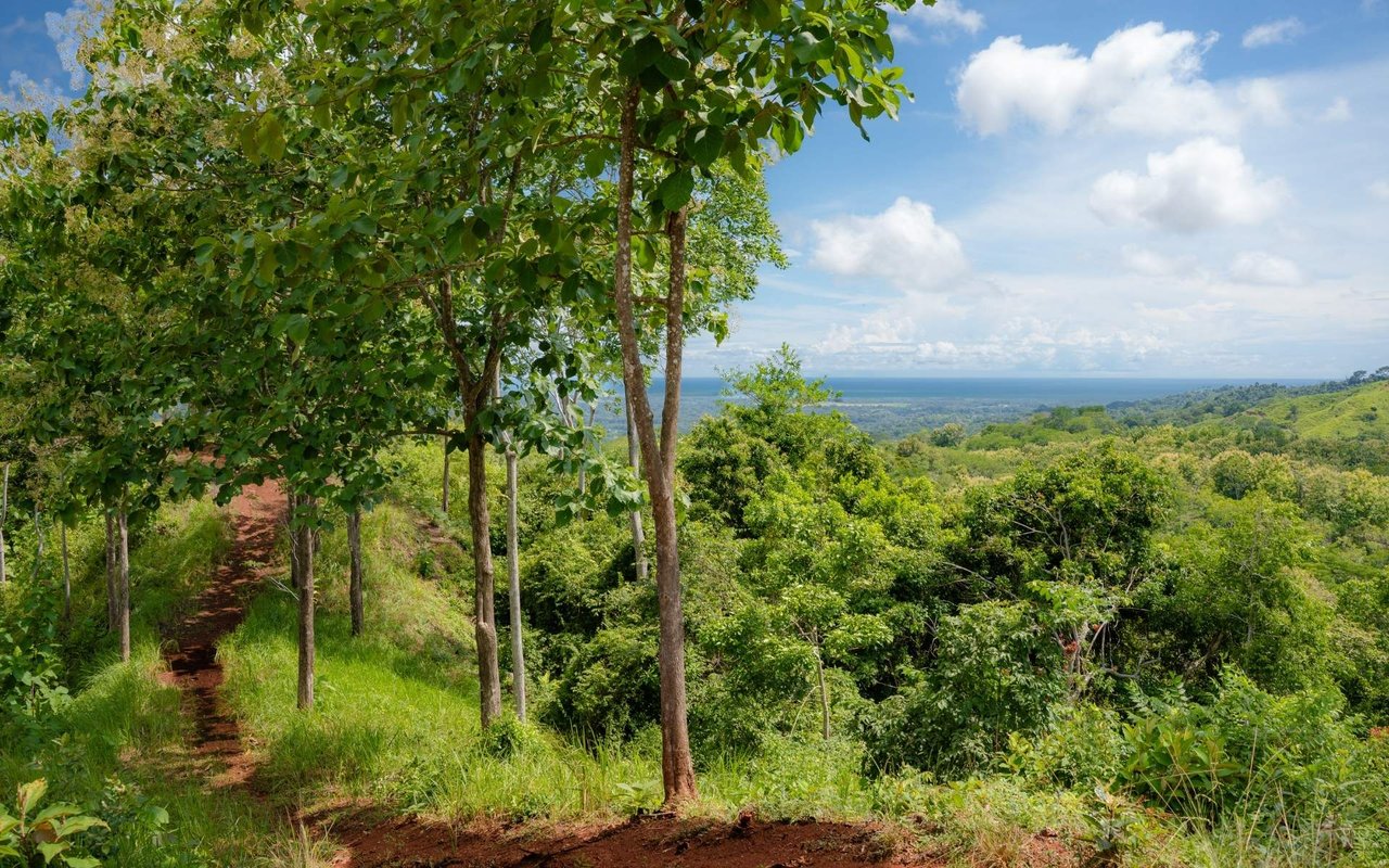 Ocean View Ridge Farm | 135-Acre Estate Near Playa Hermosa, Jacó