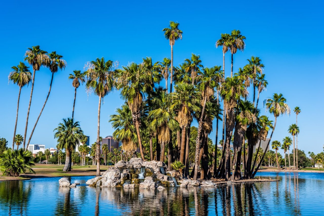 Valencia Palms