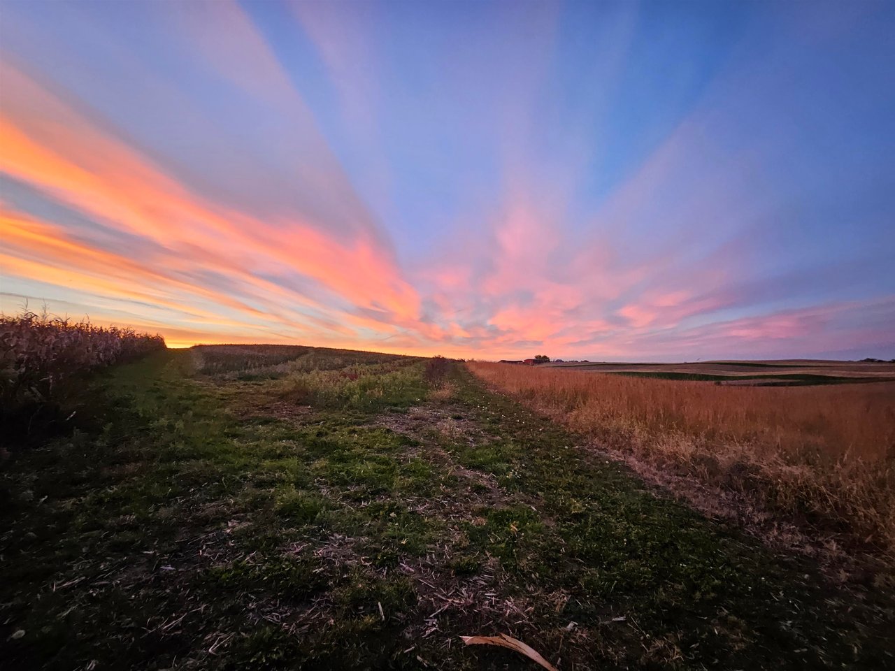 contact-form-background