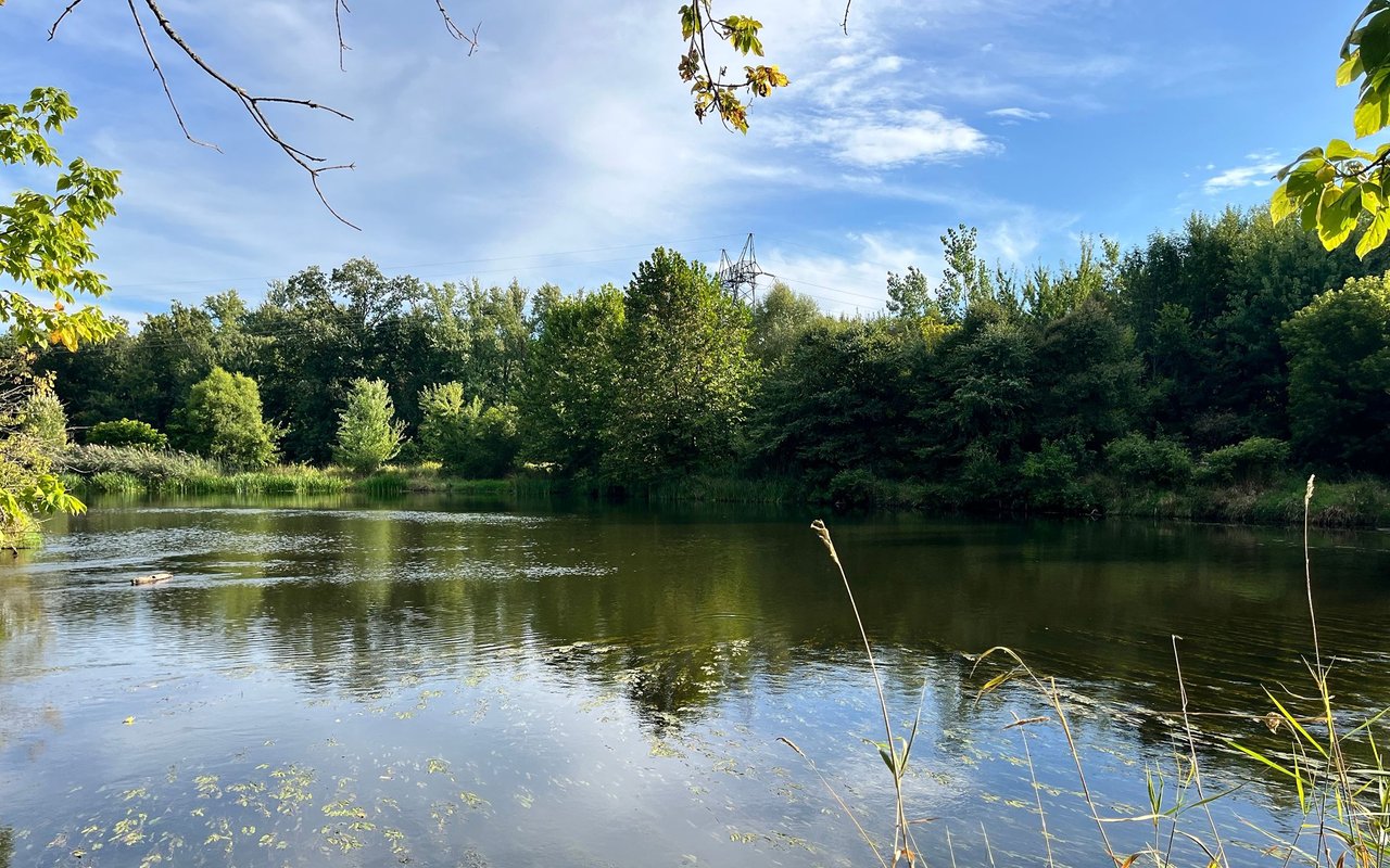 Plainwell