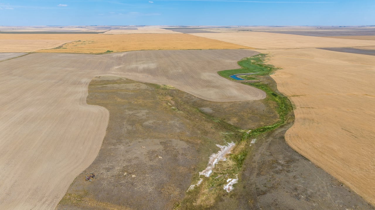Hill County Organic & CRP Farm