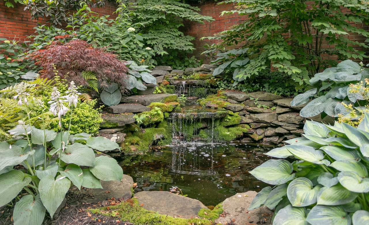 5025 Linnean Ave NW, Washington, DC 20008