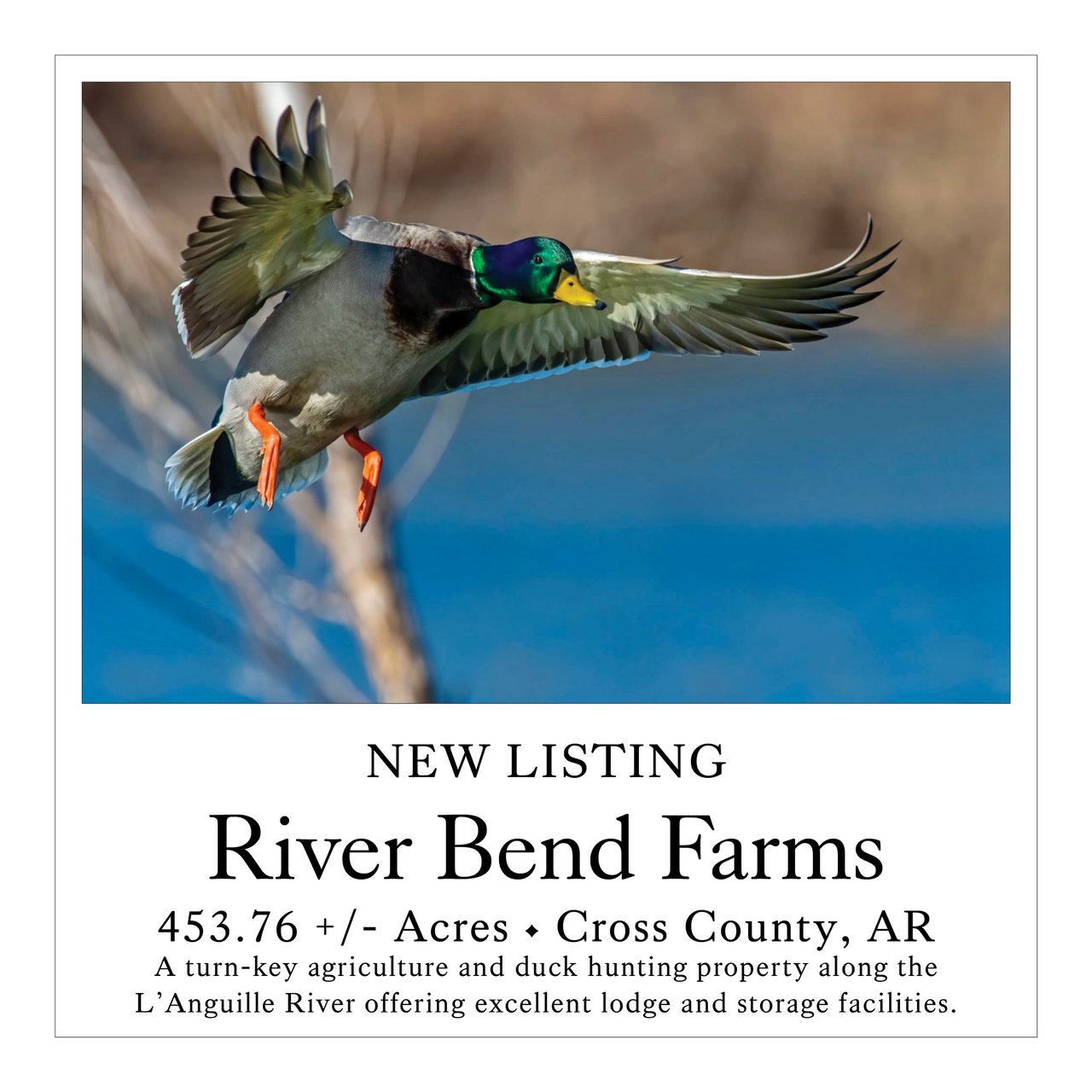 River Bend Farms