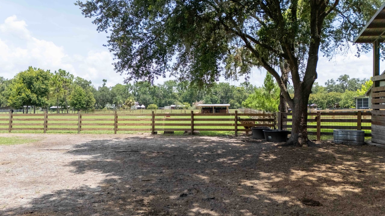 3320 Shadow Hawk Trail