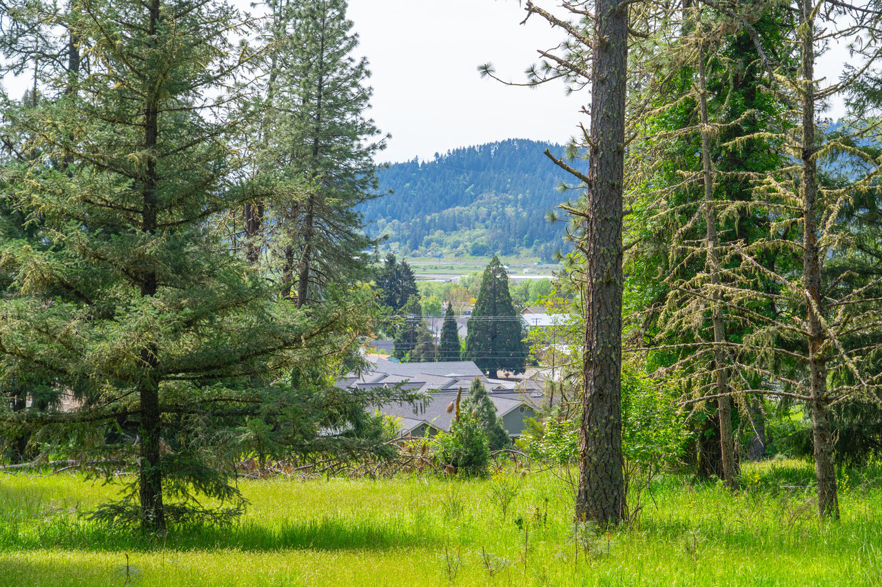SUTHERLIN WOODLOTS