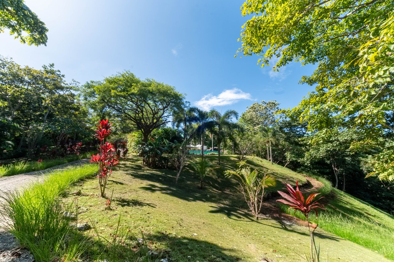 Mikado Natural Lodge | Turnkey Eco Lodge with Ocean Views & Expansion Potential in Guanacaste