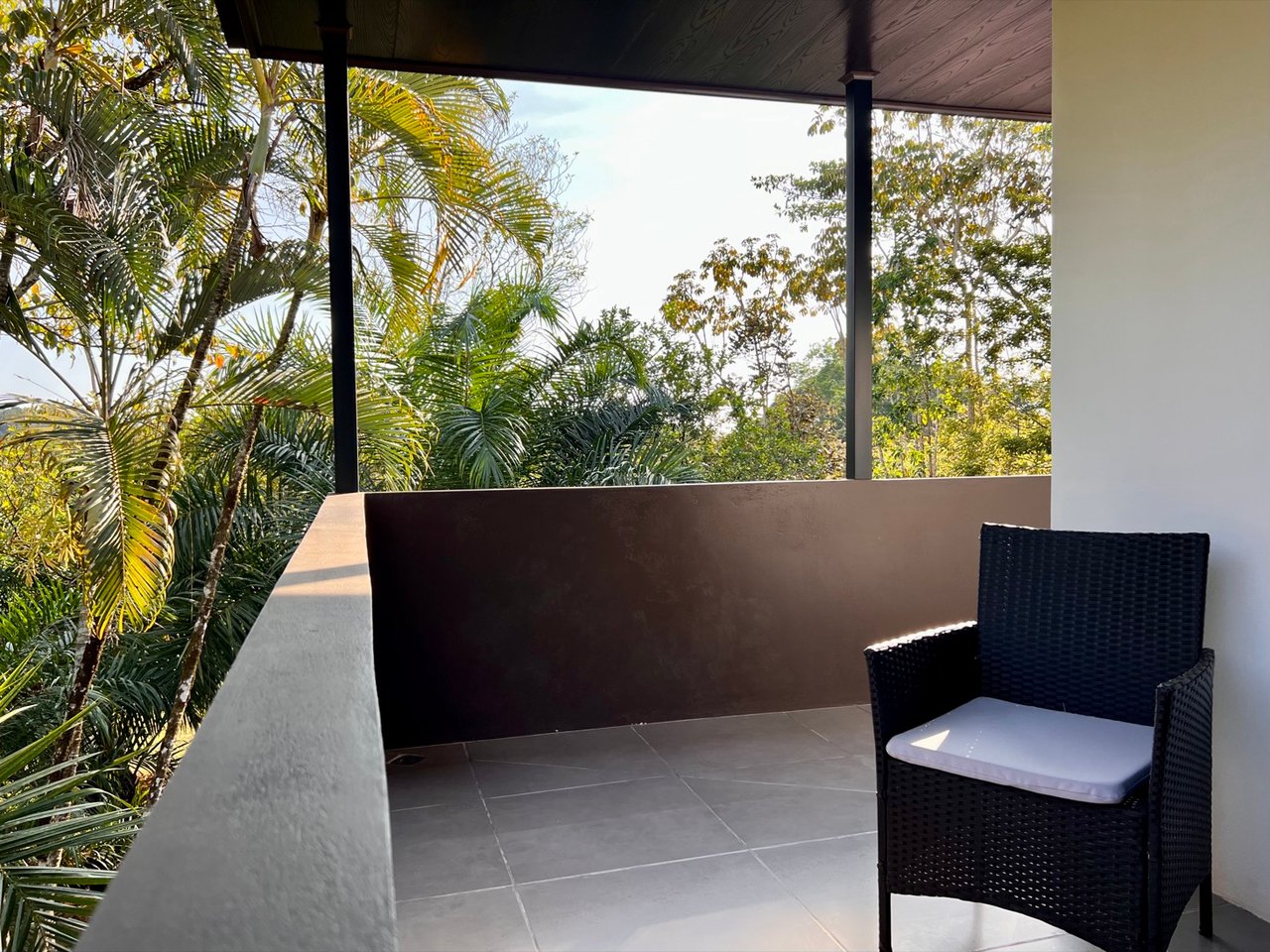 Modern Three-Bedroom Home On 6+ Acres In Ojochal