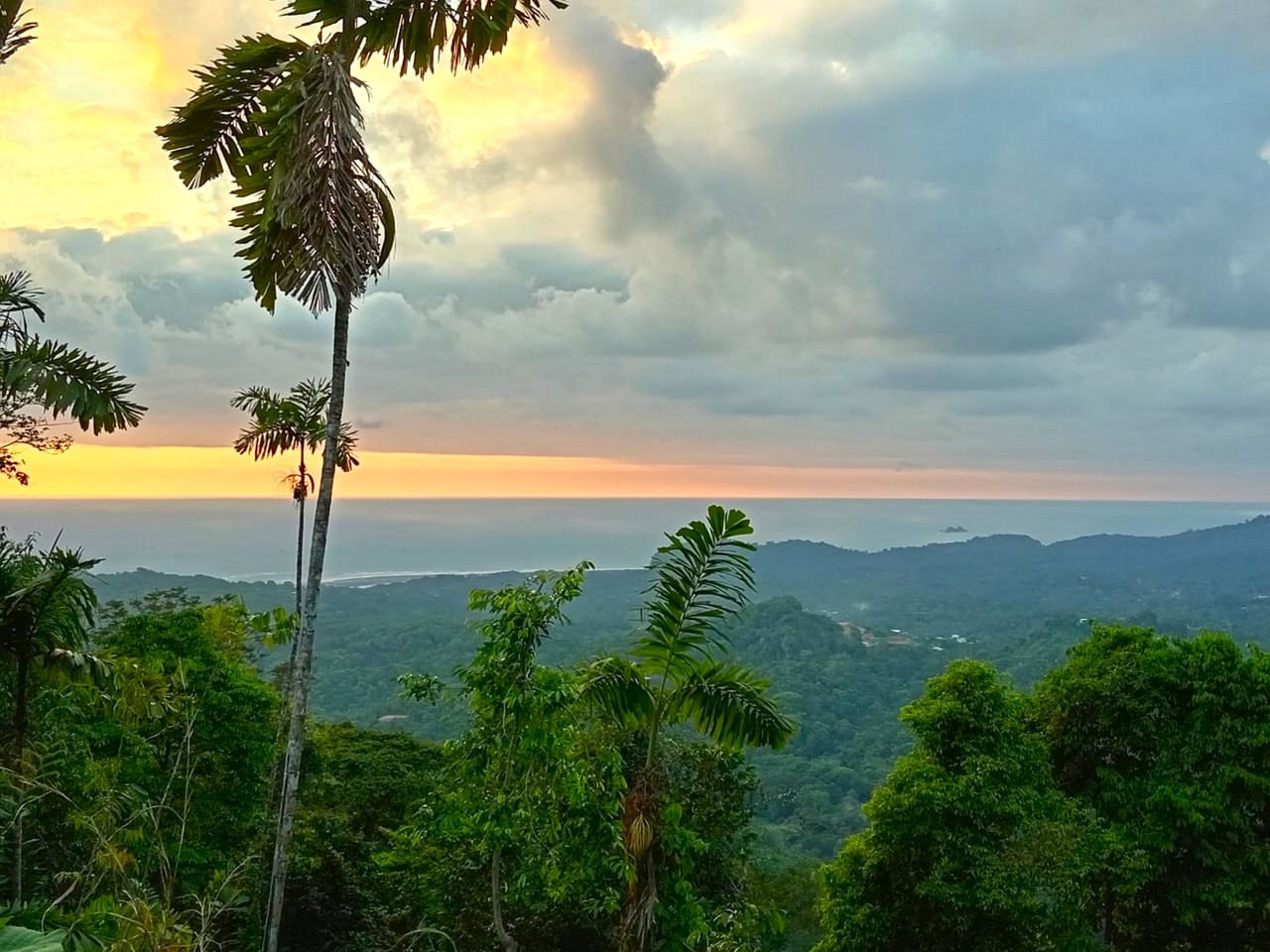 0.46 ACRES – Ocean View Land With Ready To Build Site, 2 Minutes Away From El Pavon Waterfall, Utilities On Site & Virgin Forest!!!