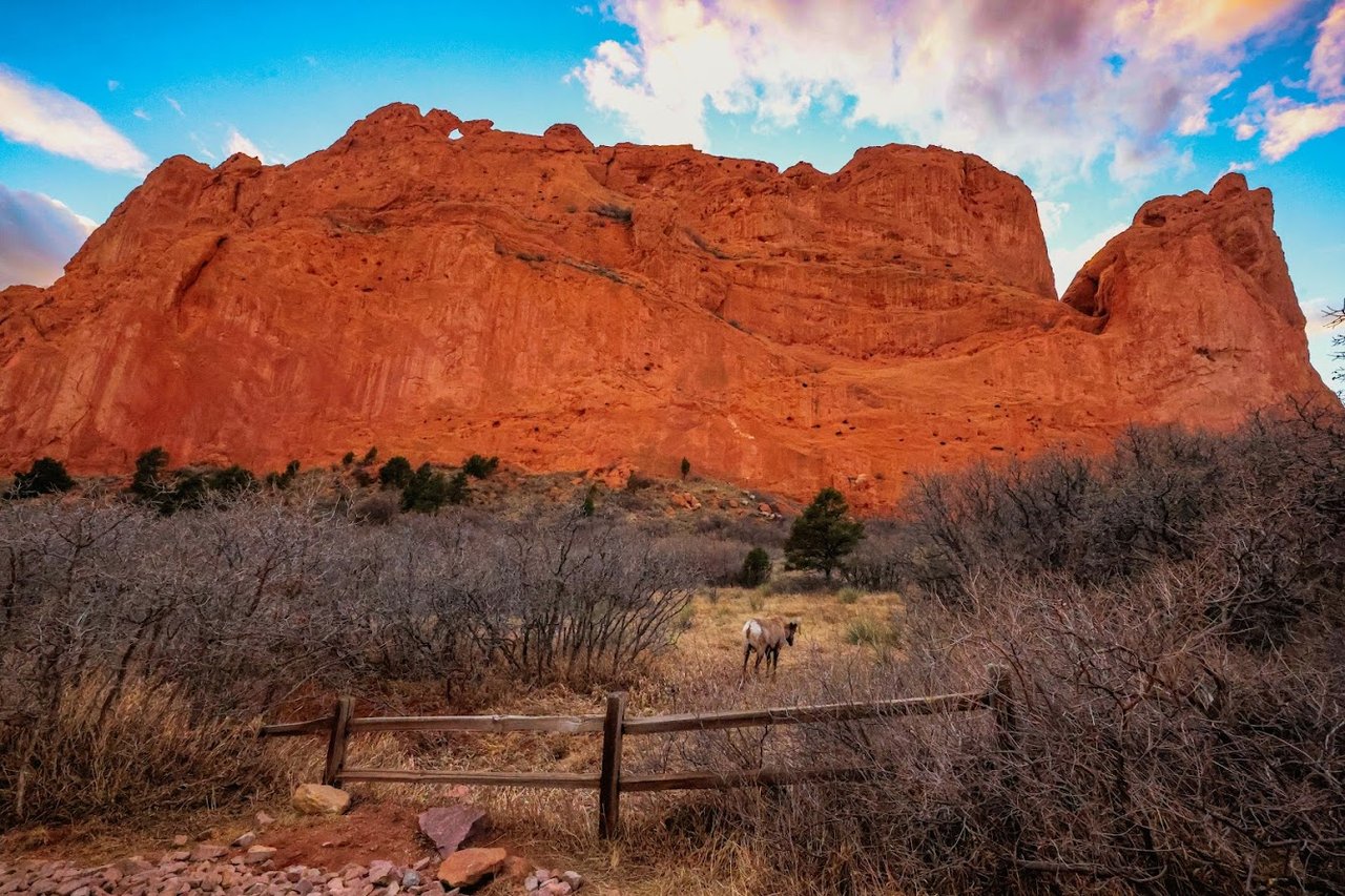 Garden of the Gods: Where Colorado Springs Comes Alive