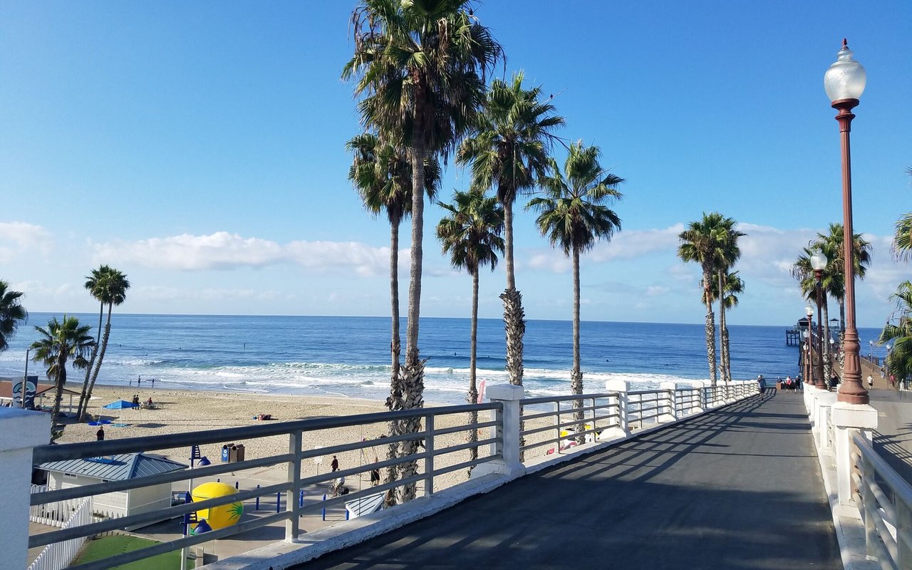 Palm-lined beach promenade overlooking the Pacific, with a pier in the distance.