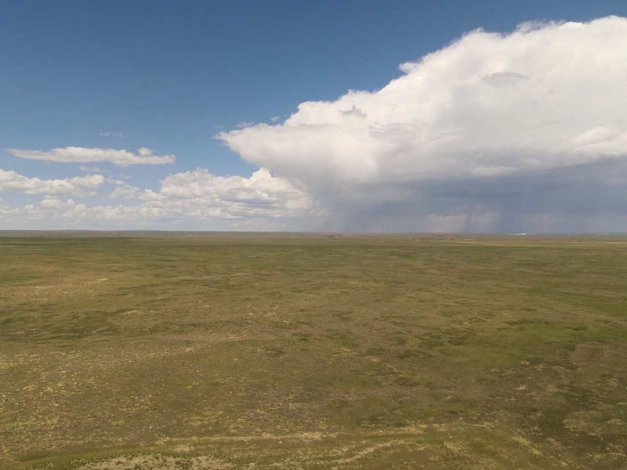 Just Listed: 160 +/- Acres of Gorgeous Colorado Raw Land!