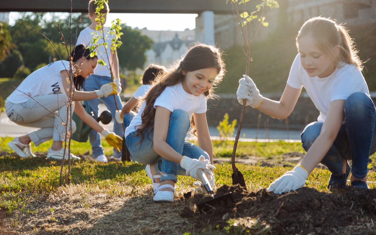 Summertime Gardening