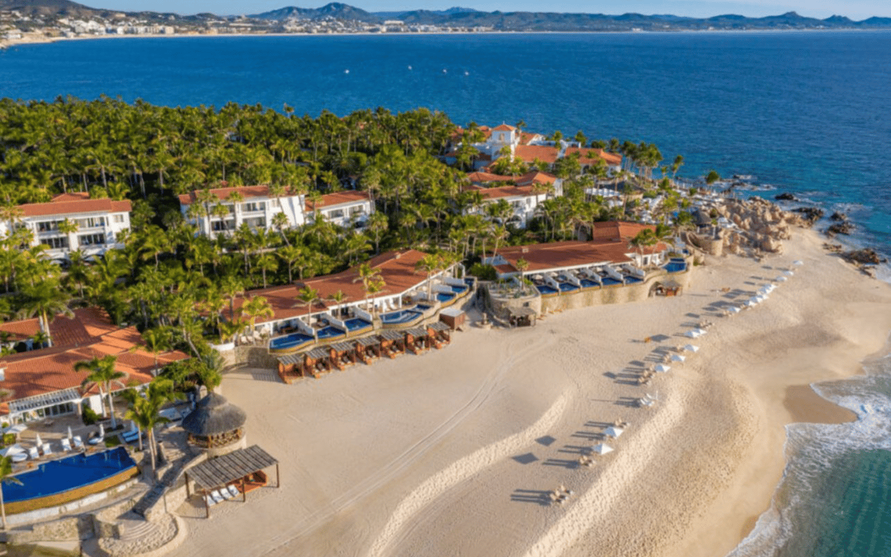 Palmilla