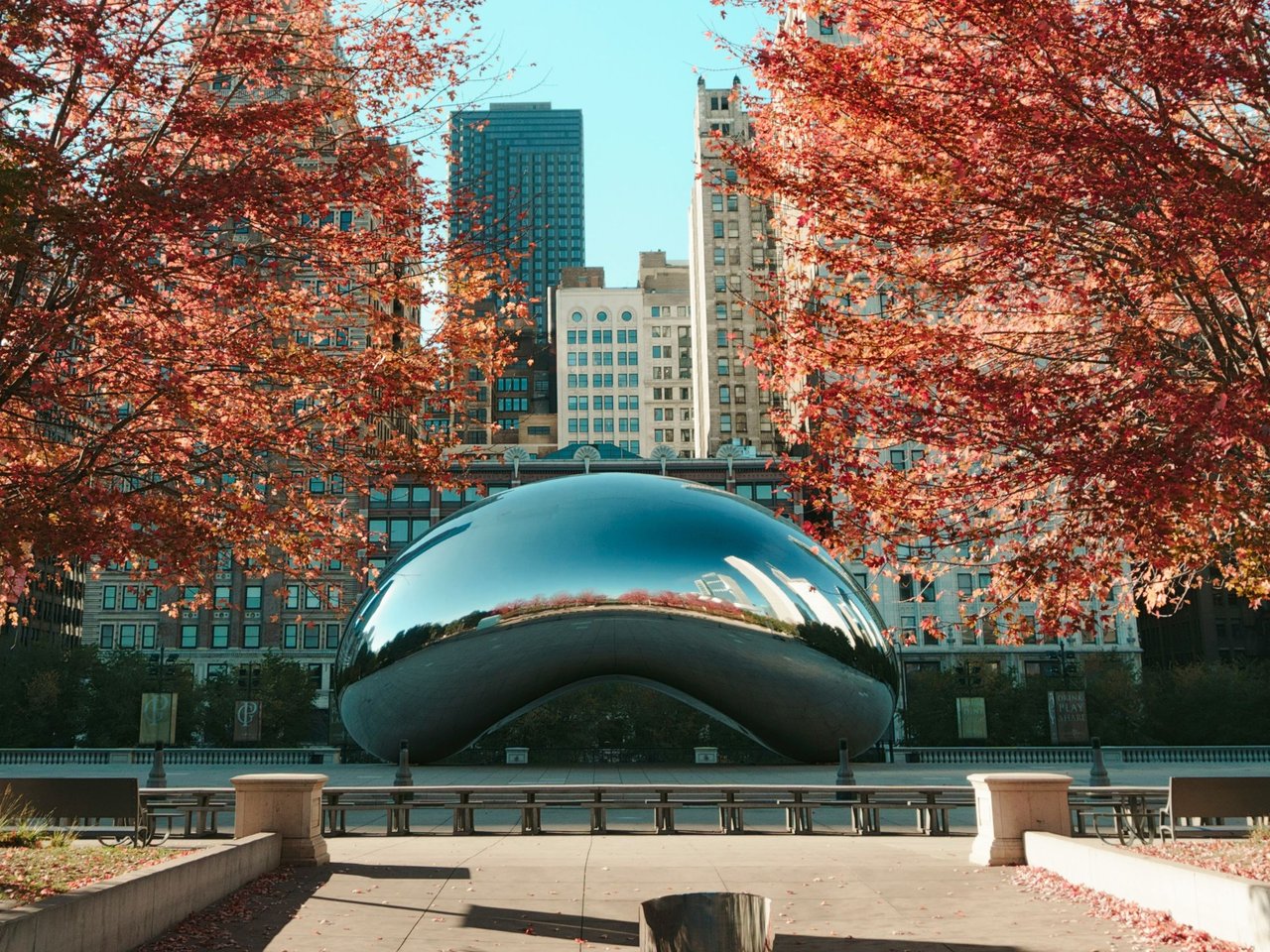 Cloud Gate in Chicago’s Millennium Park, framed by autumn trees and downtown buildings.