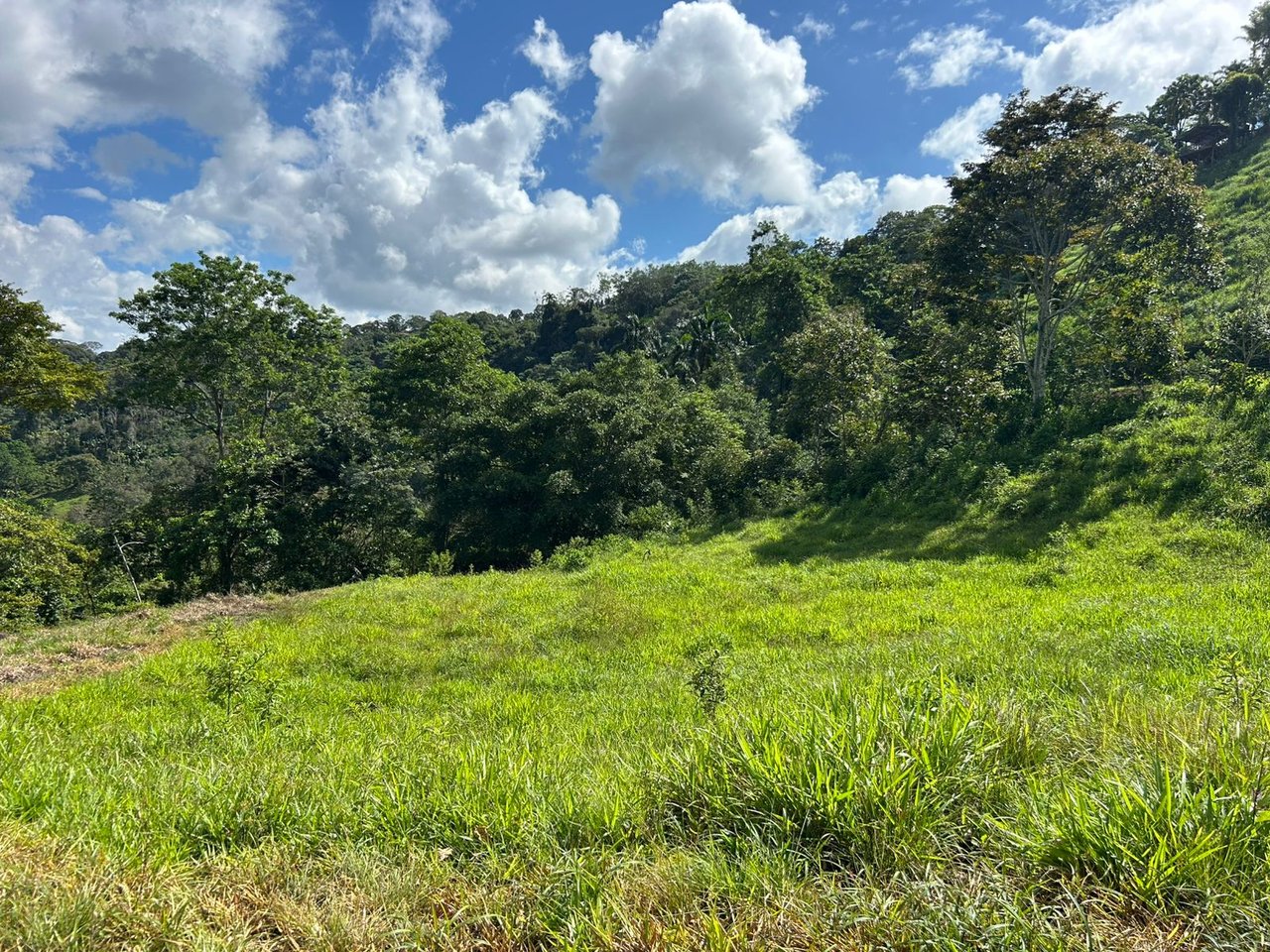 10-Acre Waterfall Farm with Amazing Valley and River View in San Isidro.