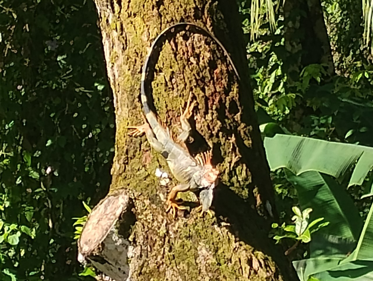 Casa Brisa de La Playa, 2 Bedroom Home Just Steps From the Beach!