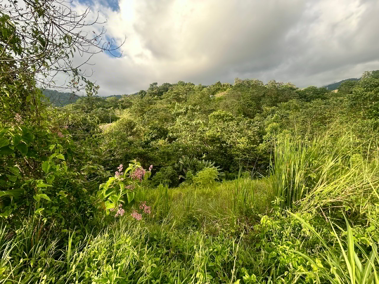2.77-Acre Ocean View Lot in Phase 11 Ojochal – Ready to Build!