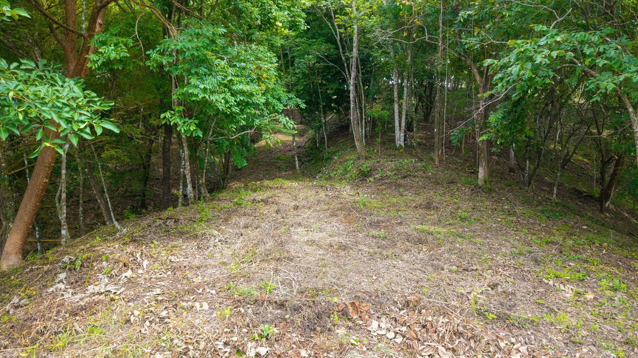 Pacific View Building Lot, Santa Teresa, Puntarenas