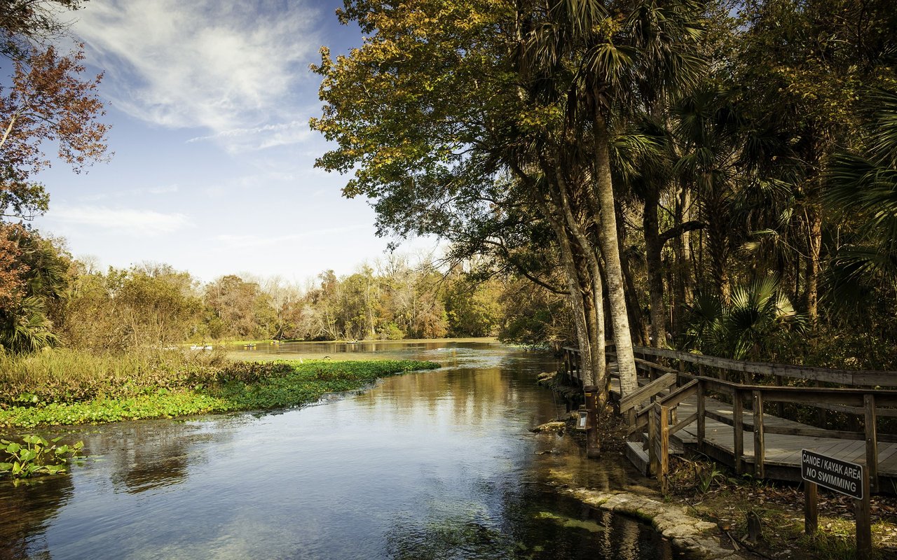 Wekiva Springs