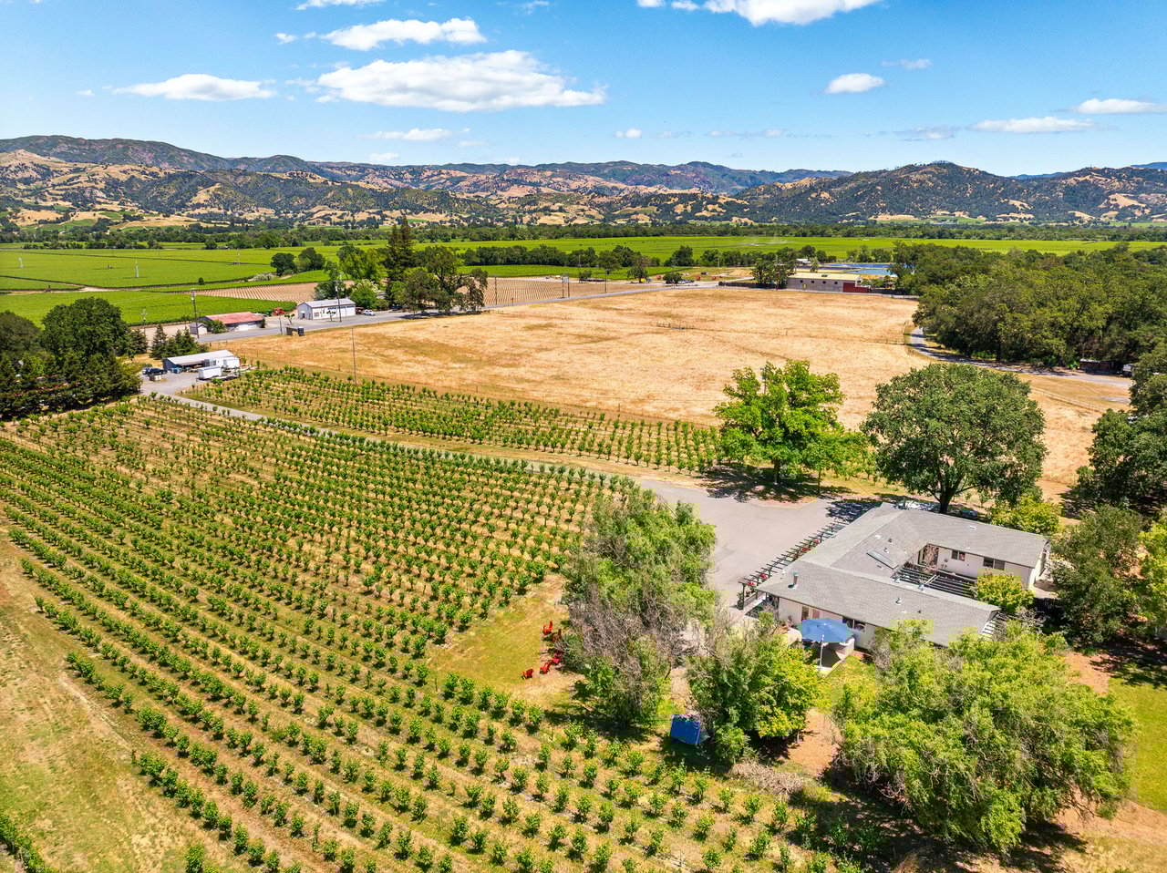 725 Lytton Station