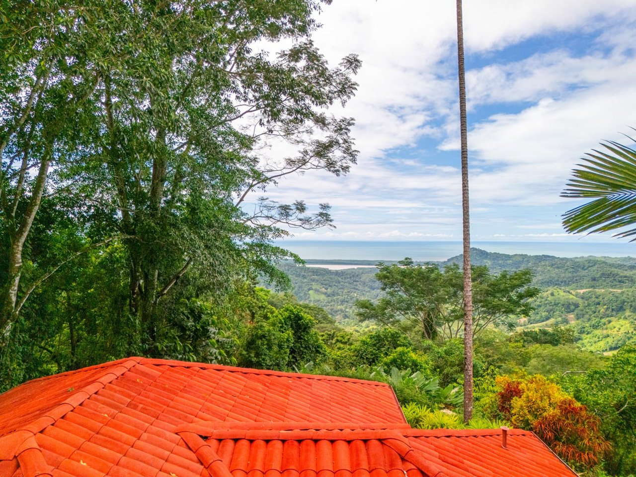 Ocean, jungle & mountain views on a meticulously landscaped 3-home family compound