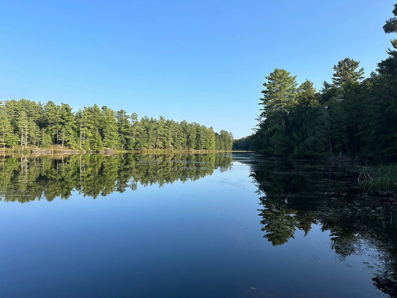 Camel Lake