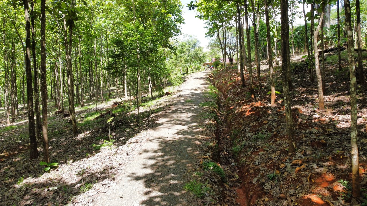 7-Hectare Farm with Teak Plantation, Existing Home & Eco-Development Potential Near Parrita, Costa Rica