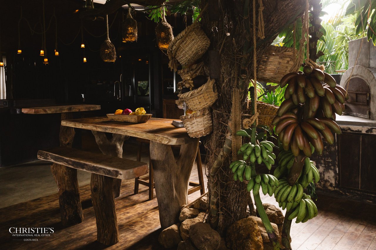 Villa Animales – Luxury Jungle Sanctuary