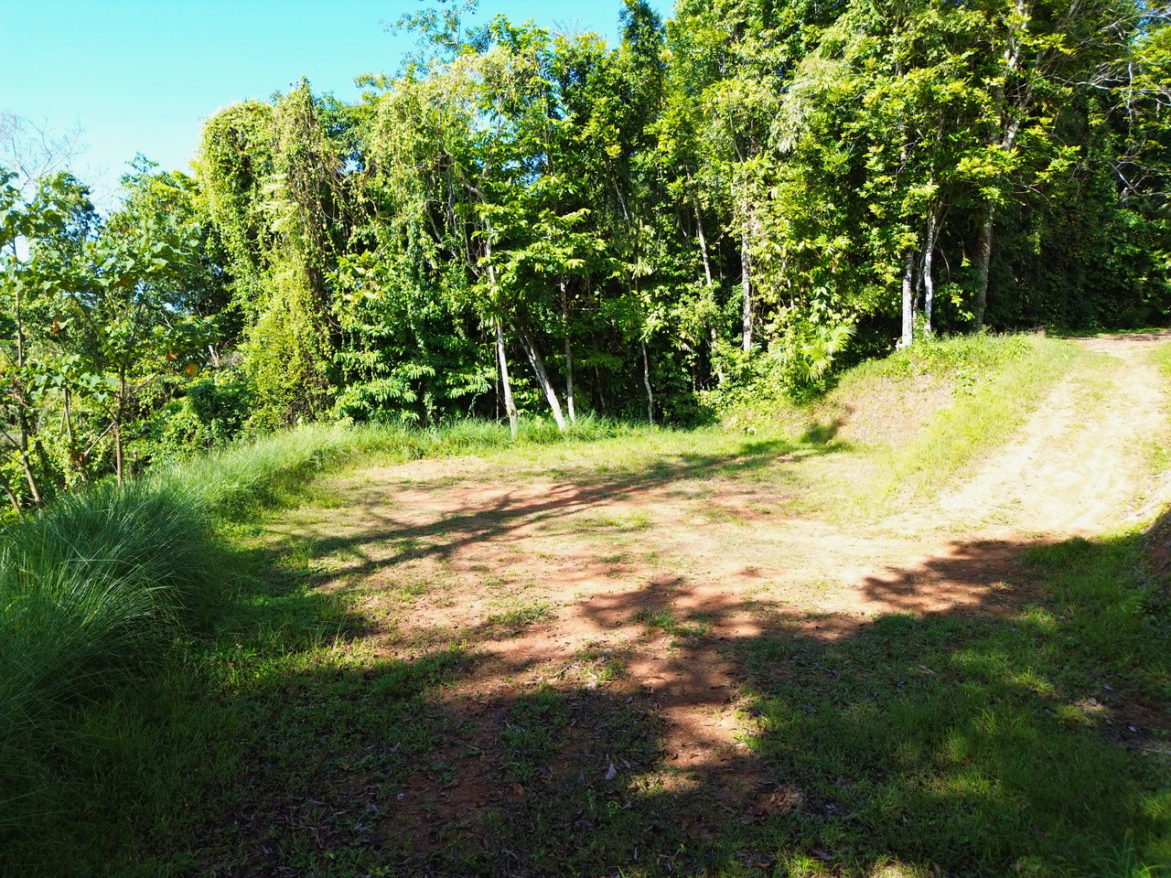 Build-Ready Ocean View Lot in Uvita Hills