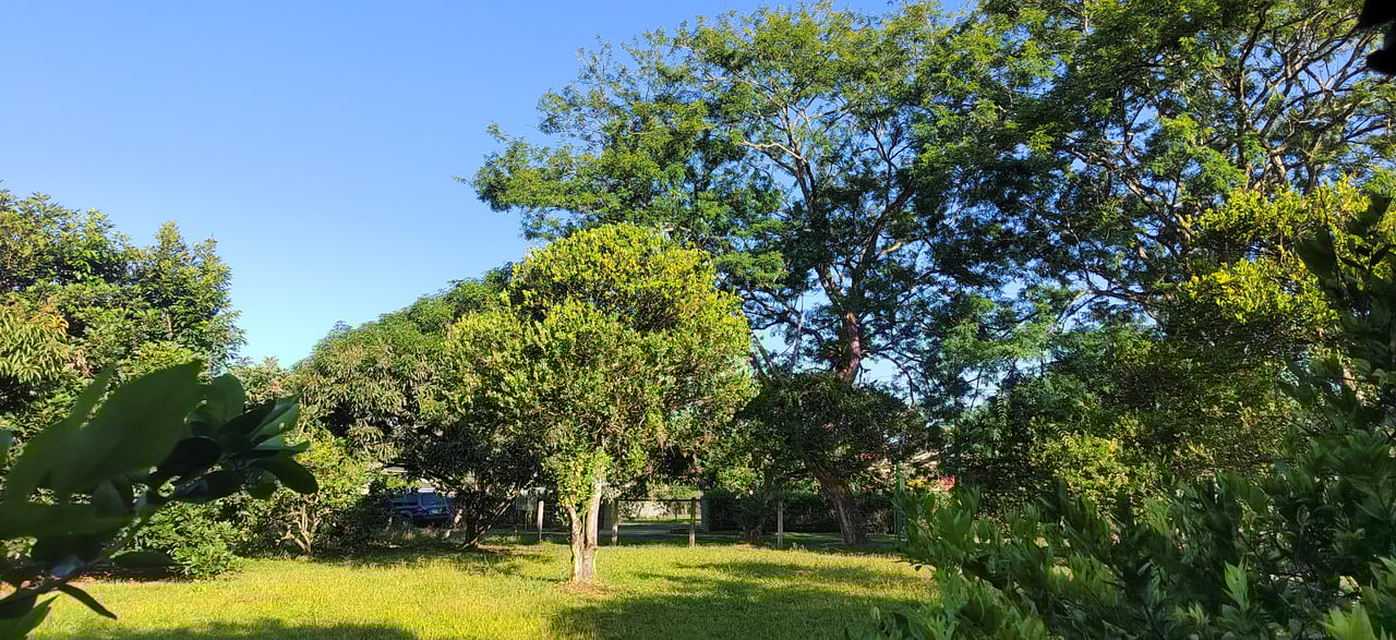 PRIME 1,100 M² LOT IN RESIDENCIAL LOS VIEJOS – FLAT, PRIVATE, AND READY TO BUILD