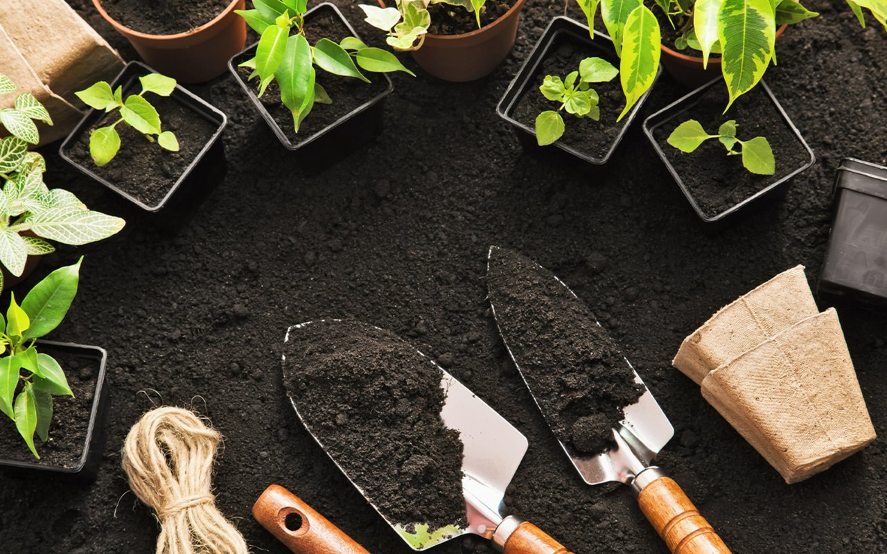 7 Ways To Enjoy Gardening While Social Distancing