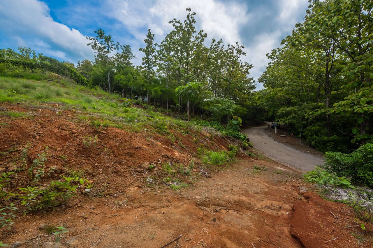 Lot 81, Rancho Villareal