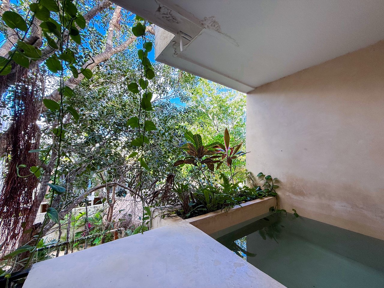 Maxia Lofts | 1-Bedroom Condo with Plunge Pool for Sale in Tulum 