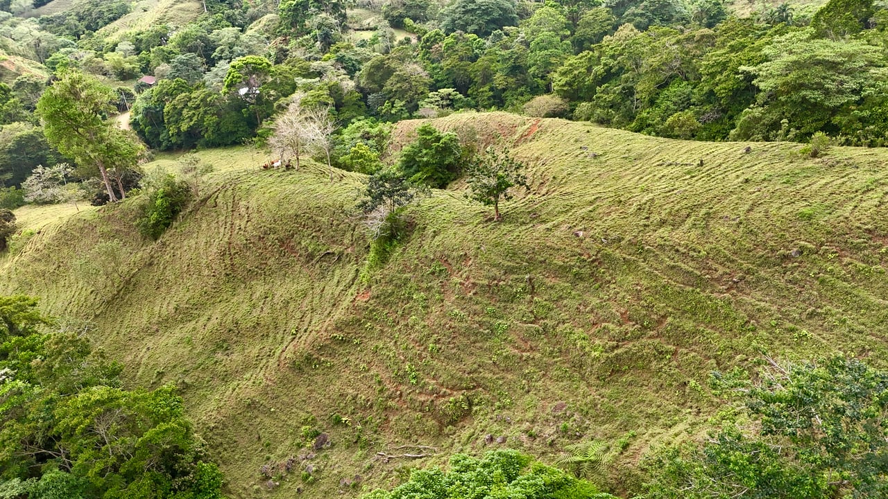 Gorgeous Land in San Luis Morete - Uvita - Over 17 Acres