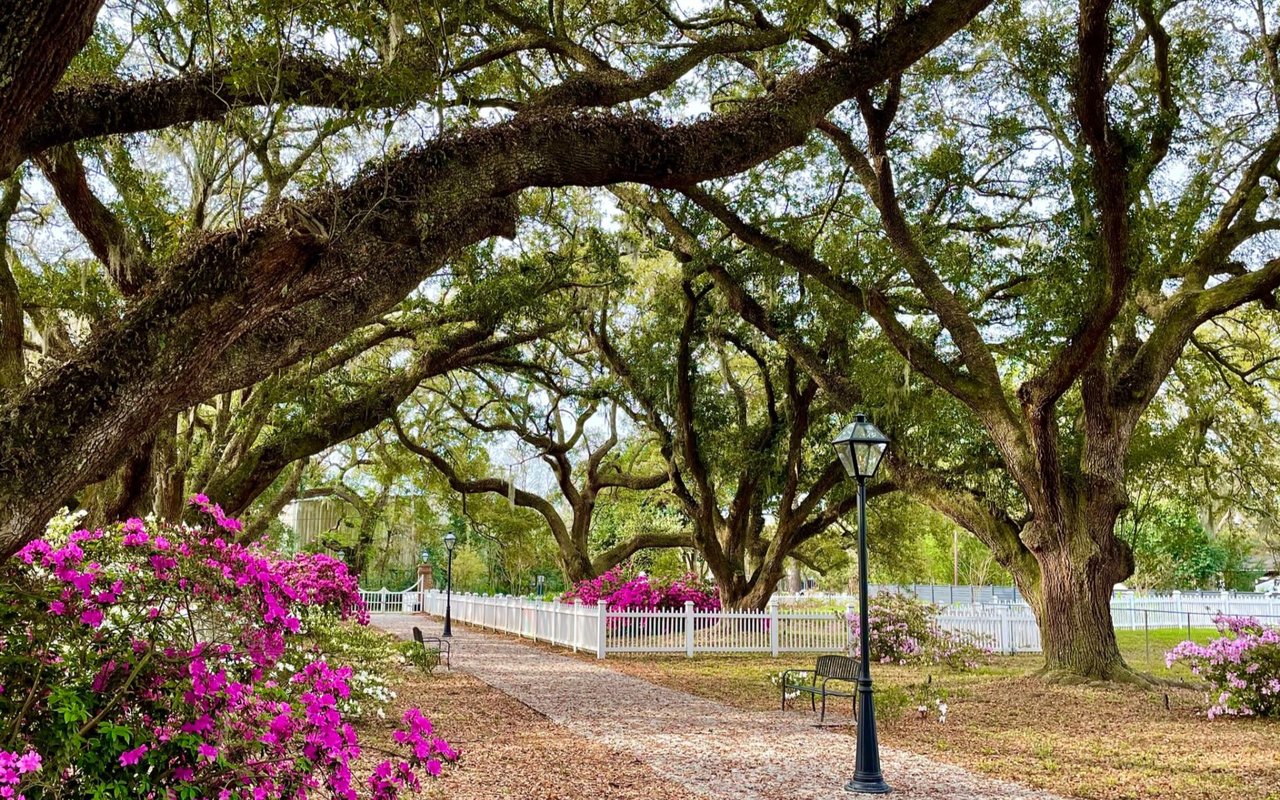 Explore Charleston’s Historic Gardens