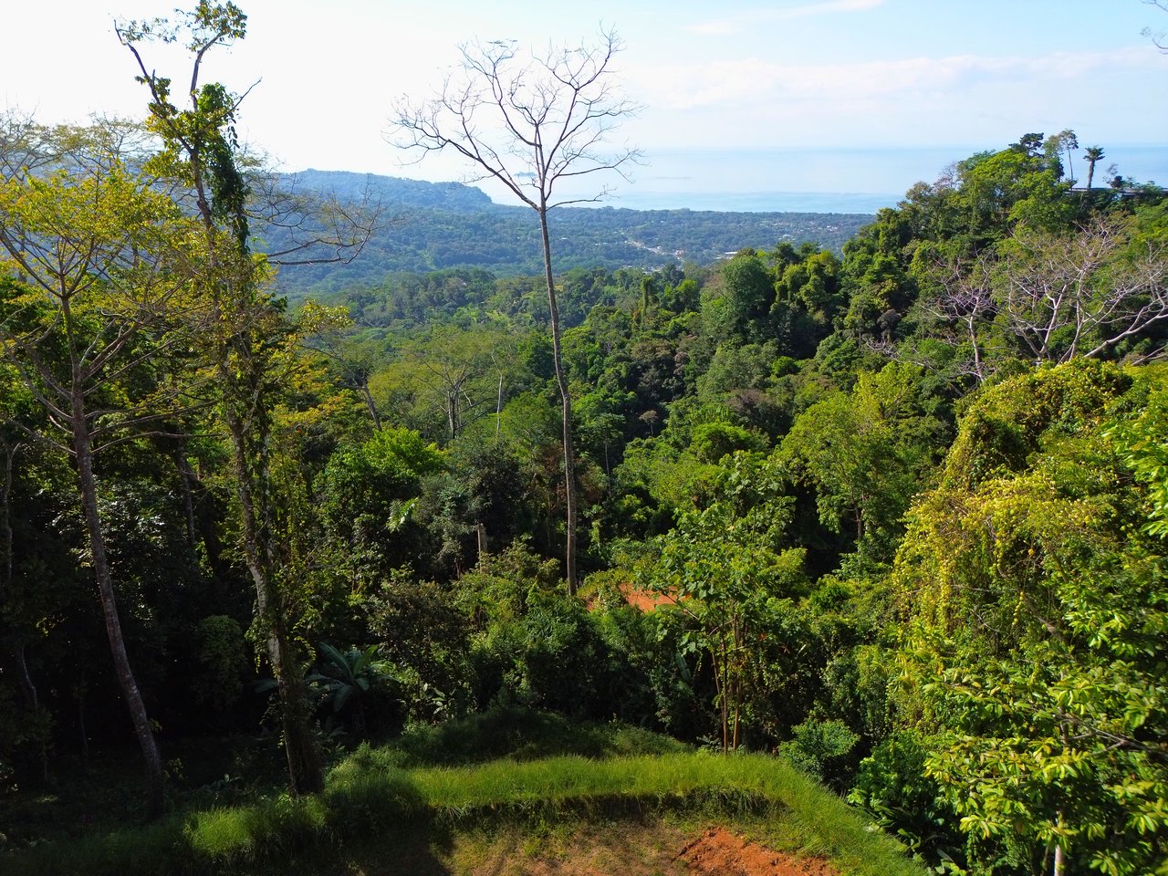 Build-Ready Ocean View Lot in Uvita Hills