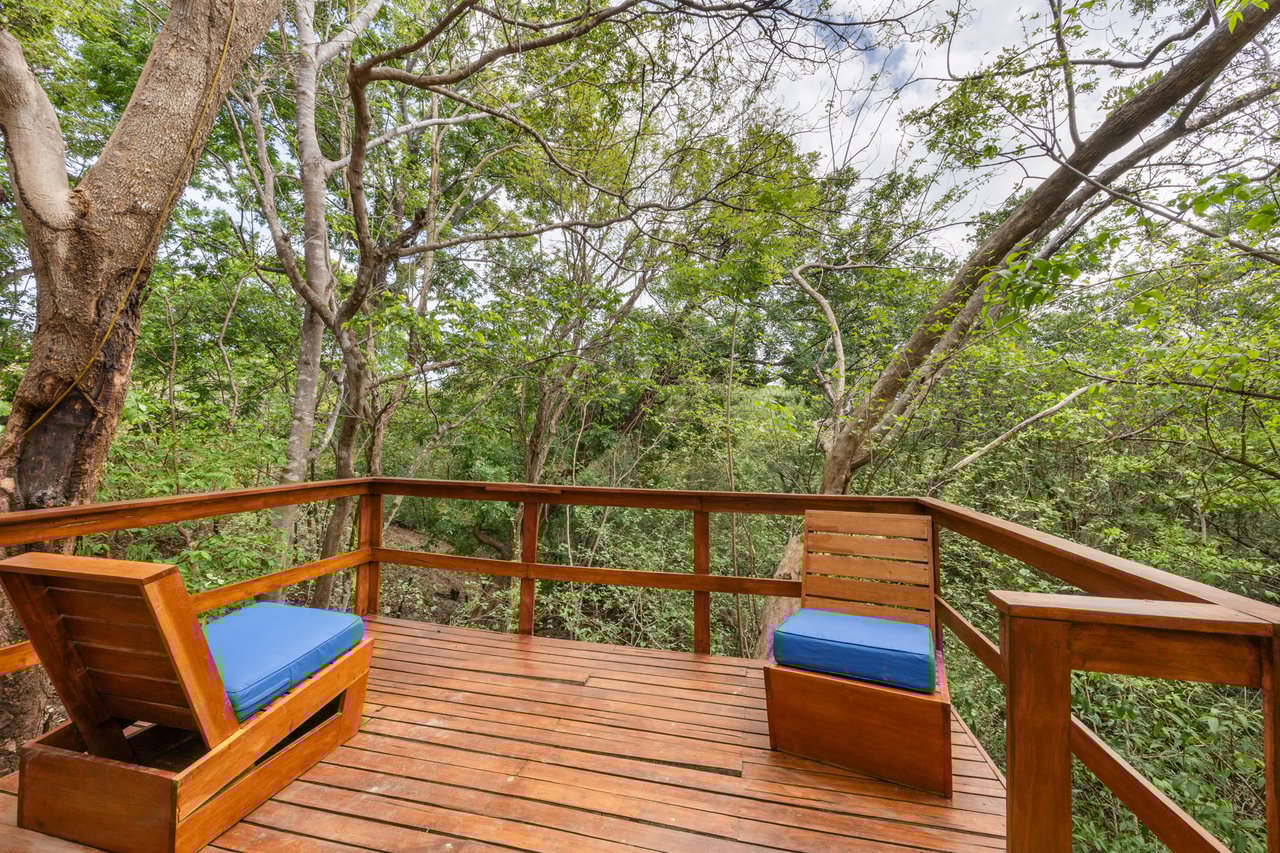 Casa Mimosa | Versatile Luxury Retreat Just 3 Minutes from Flamingo Beach