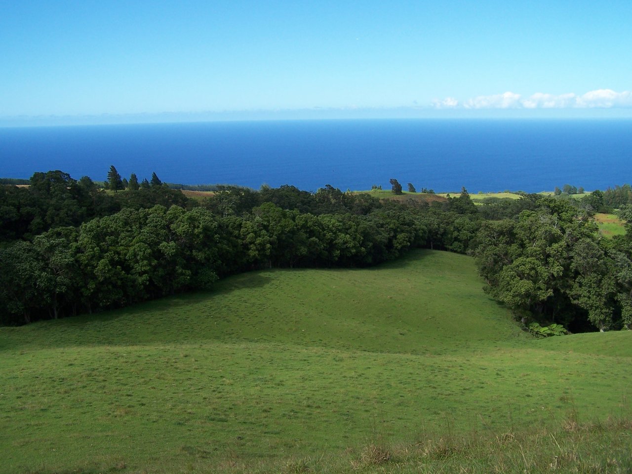 HAMAKUA COAST BIG ISLAND