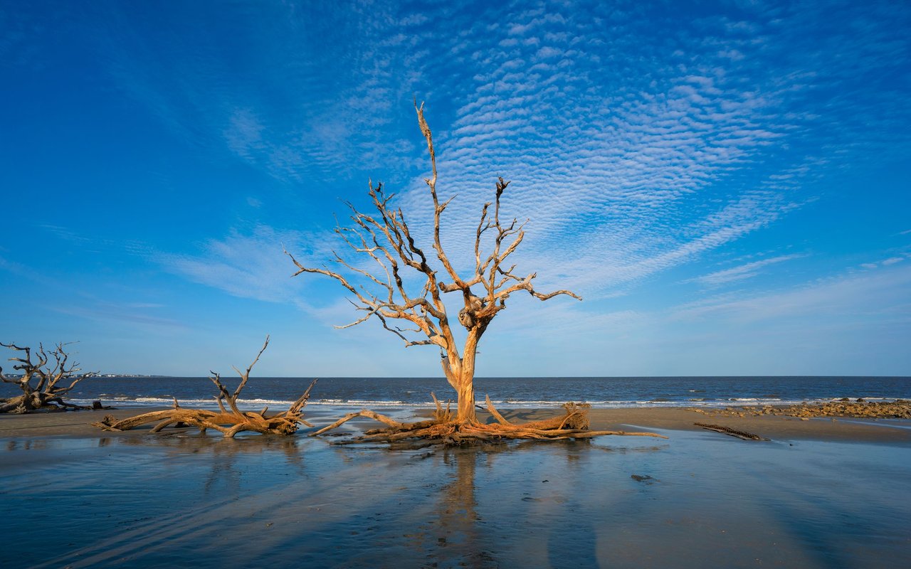 Jekyll Island