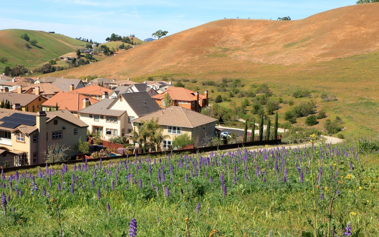 Valley Glen