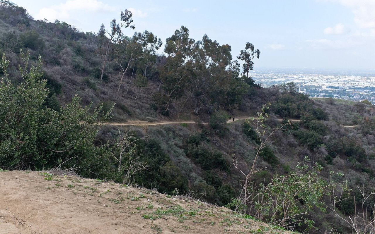 Whittier