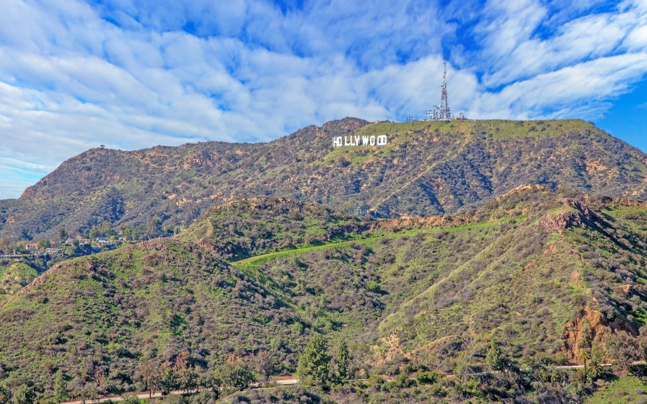 Hollywood Hills
